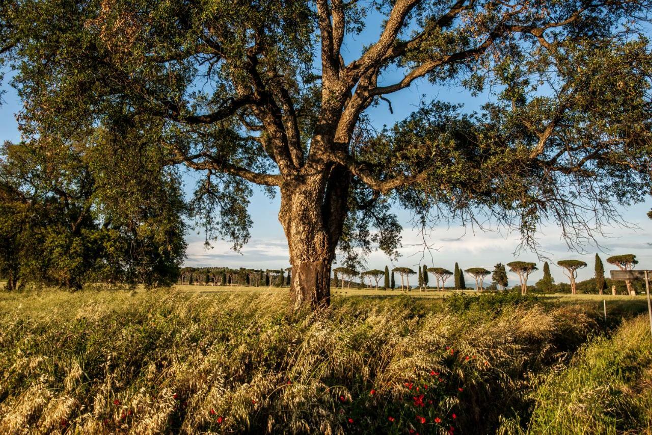 Refugium Countryhouse Podere Cernaia Экстерьер фото